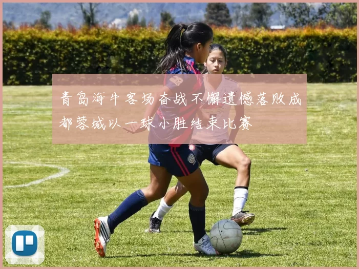 青岛海牛客场奋战不懈遗憾落败成都蓉城以一球小胜结束比赛