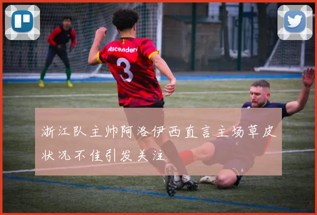 浙江队主帅阿洛伊西直言主场草皮状况不佳引发关注